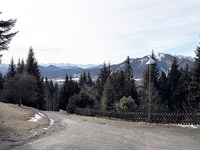 Unterhalb der Alm setzen wir unseren Abstieg nach Lenggries fort.