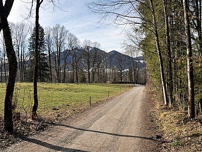 Auf dem Aufstiegsweg ... 