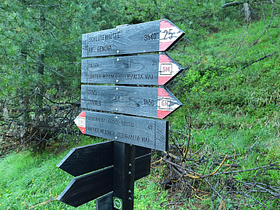 Wir folgen weiter dem ansteigenden Weg Richtung Tullen 