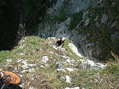 Viel Gras und Erde am Anfang