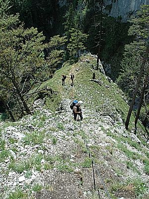 Ein kurzes Gehstück