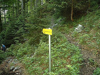 Auf dem Wanderweg  gehts ...