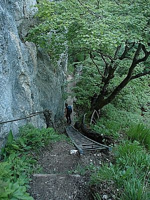 der Absteig auf dem Wanderweg