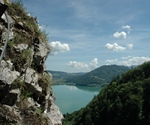 Ständiger Begleiter, der Mondsee