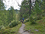 Bald lassen wir die Bäume hinter uns...