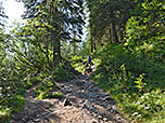 Der Weg wird kurzzeitig holpriger