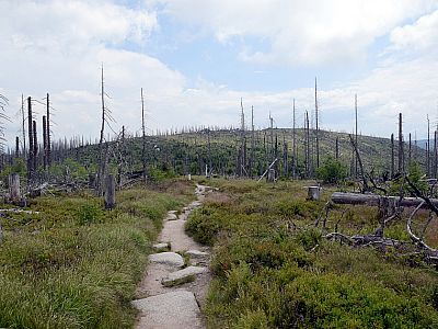 In der Ferne ist der Plöckenstein (tschechisch Plechý)