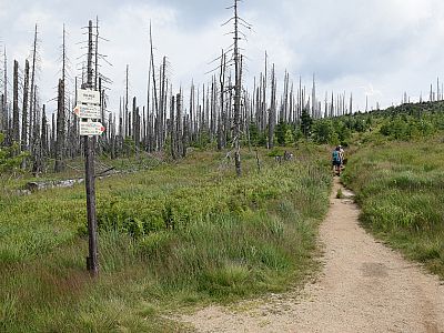 Wir marschieren nun an der Grenze zwischen Österreich und Tschechien weiter