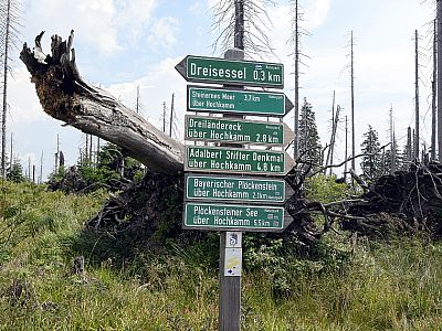 Für unsere Wanderung halten wir uns an den Wegweiser zum Bayerischen Plöckenstein