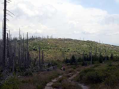 Noch einmal geht es wenige Meter bergab, ...