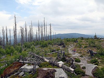 Der Blick zum Hochficht im Südosten