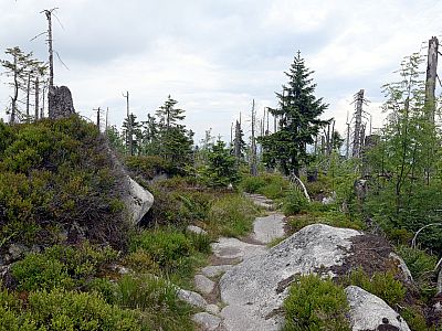 Der Pfad durch den tschechischen Nationalpark Sumava