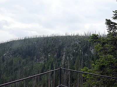 Die steile Südflanke des Plöckenstein