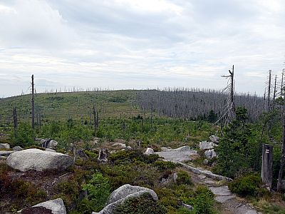 ... und zurück zur Dreiländermark.