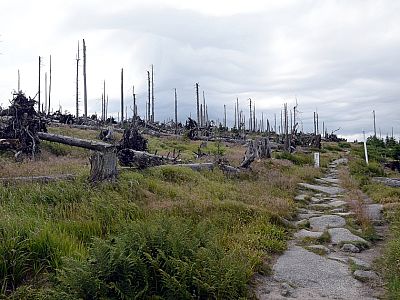 Exakt an der Grenze zwischen Tschechien und Deutschland wandern wir nach Südosten