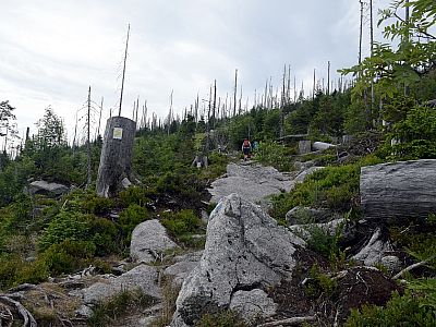 Es geht wieder ein wenig bergauf