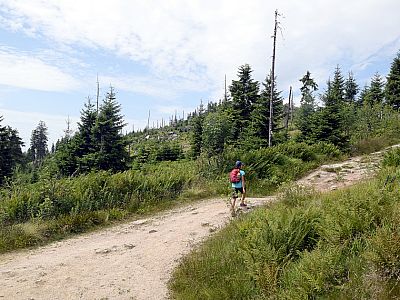 Wir wandern ein Stück bergauf, ...