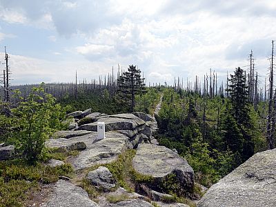 Der Ausblick vom Bayerischen Plöckenstein nach Osten
