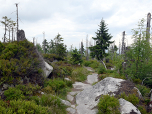 Der Pfad durch den tschechischen Nationalpark Sumava