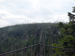 Die steile Südflanke des Plöckenstein