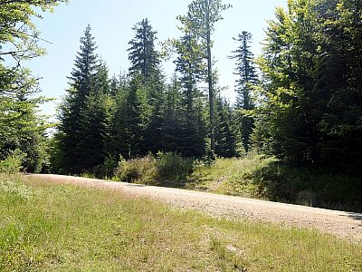 Wir überqueren des öfteren breitere Straßen