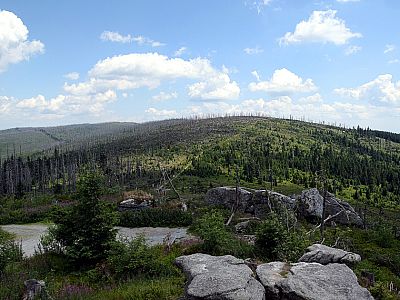 Schön ist nach Südwesten der Grenzsteig zu sehen