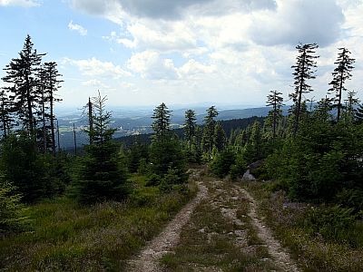 Ein breiter Weg führt uns nach  Westen den Berg hinunter 