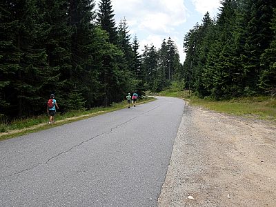 Es geht knapp 100 Meter der  Straße entlang runter