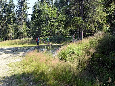 Hier halten wir uns links und steigen nach Osten auf