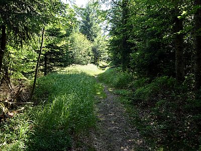 führt uns der Weg nach Südosten