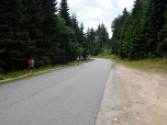 Es geht knapp 100 Meter der  Straße entlang runter