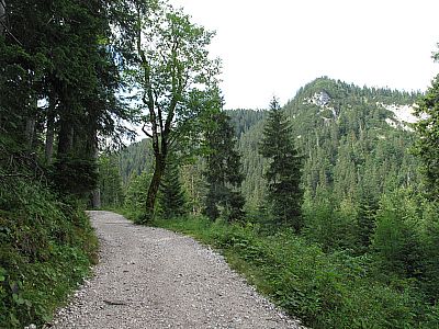 Der Weg wird etwas schmäler