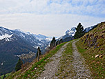 Von der Unteren Schwarzenbachalm sind es noch 20 Minuten Gehzeit...