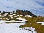 Wir steigen den Wiesenhang hinter der Alm hinauf
