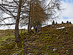 Rechts des Zauns bleibend wandern wir weiter aufwärts