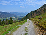 Nach der Lippenalm geht es über einen Forstweg...