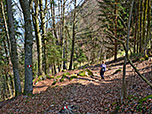 Hier geht es rechts in den Wald hinein