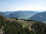 Hinten die Kitzbüheler Alpen
