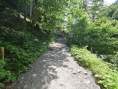 Der steile Aufstieg zum Eckbauer beginnt