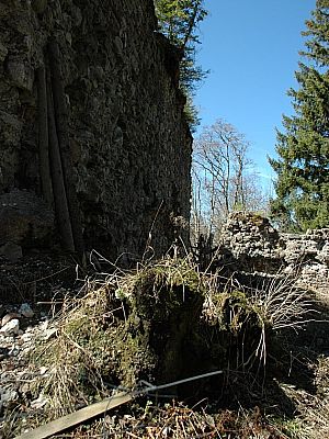 Blick hinter die Mauer