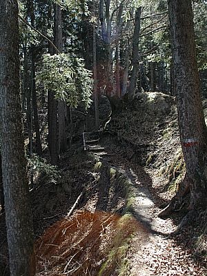 Dem Weg südlich der Mauer folgen...