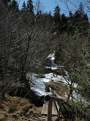 Hinter der Alm kurz bergab