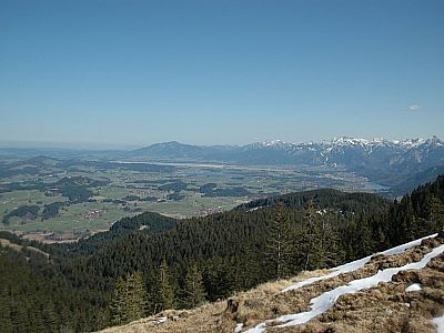 Im Osten der Forggensee