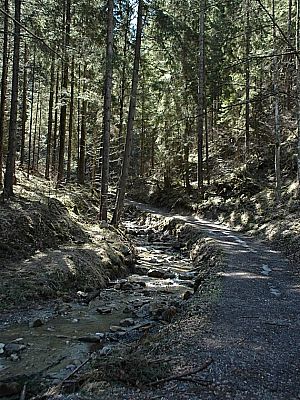 Zunächst wieder am Bach entlang...