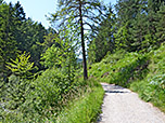 Wir wandern weiter durch das Laintal...