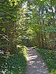 Über einen steilen Waldweg...