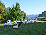Der Berggasthof liegt an der Grenze zwischen Bayern und Tirol
