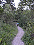 Zu guter Letzt erreichen wir über den Waldpfad...