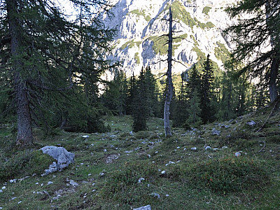 Wir erreichen den Wald