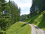 Von der Bucheralm folgen wir dem Karrenweg in östlicher Richtung